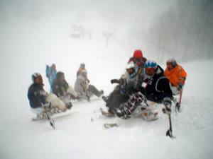 20070107_01.jpg