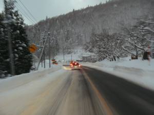 20070110_01.jpg