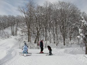 20070120_01.jpg