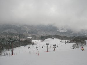 20070212_01.jpg