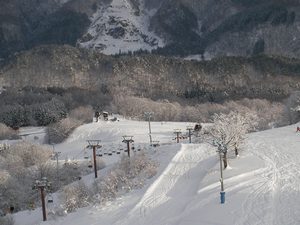 2008_0104_02.jpg