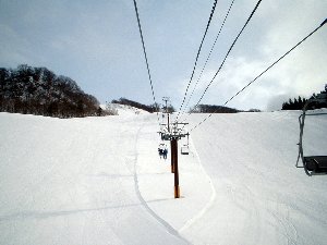 2008_0114_01.jpg
