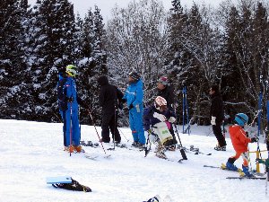 2008_0114_02.jpg