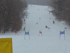 2008_0320_01.jpg