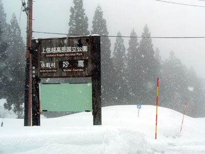 2009_0203_04.jpg