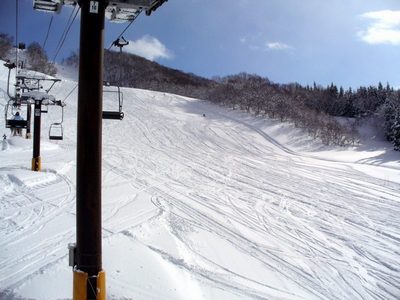 20100116_01.jpg