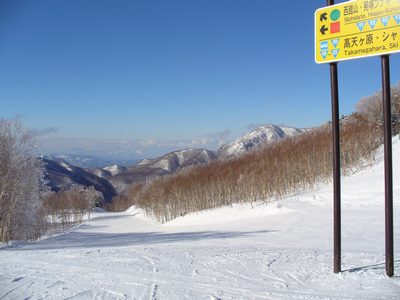 20100124_03.jpg