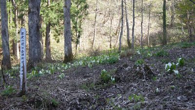 20110507_14.jpg