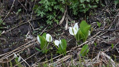 20110507_15.jpg