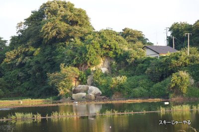 20110611_03.jpg