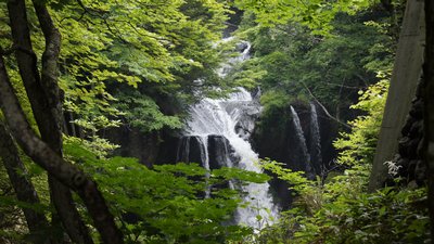 20110715_17.jpg