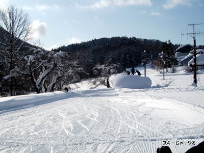 20120205_01.jpg