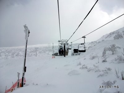 20120218_01.jpg