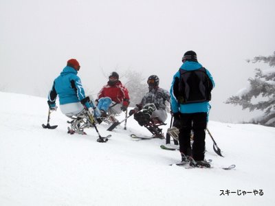 20120221_01.jpg