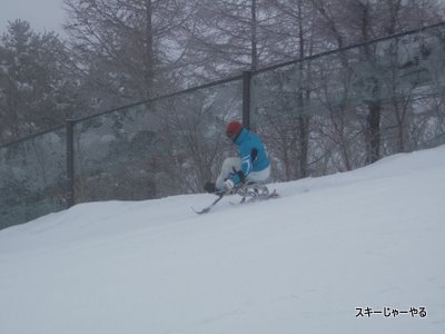 20120221_04.jpg