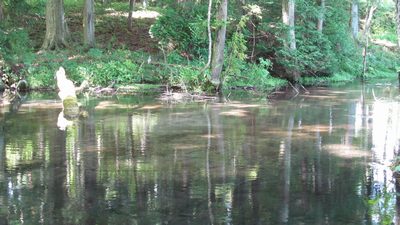 20120804_05.jpg