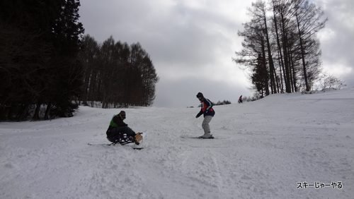 20130203_02.jpg