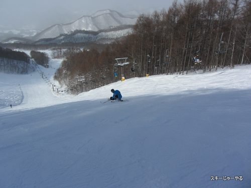 20130217_02.jpg
