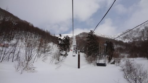 20130226_02.jpg
