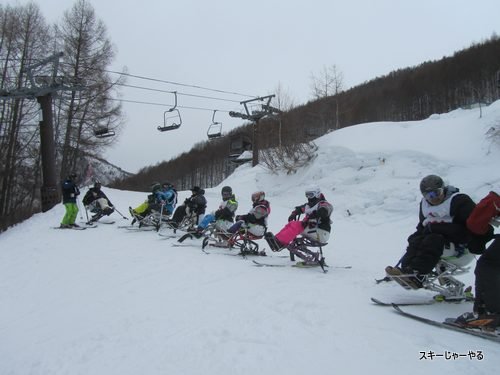 20130301_06.jpg