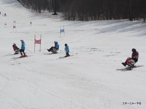 20130310_02.jpg