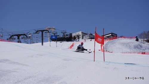20130322_13.jpg