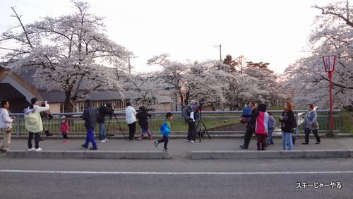 20130505_06.jpg