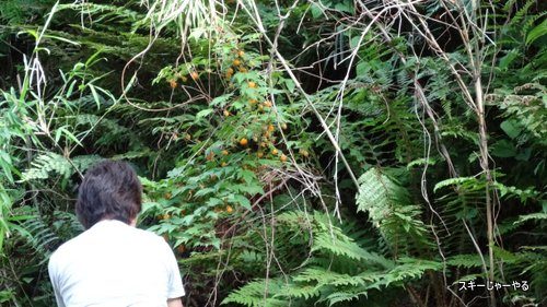 20130613_08.jpg